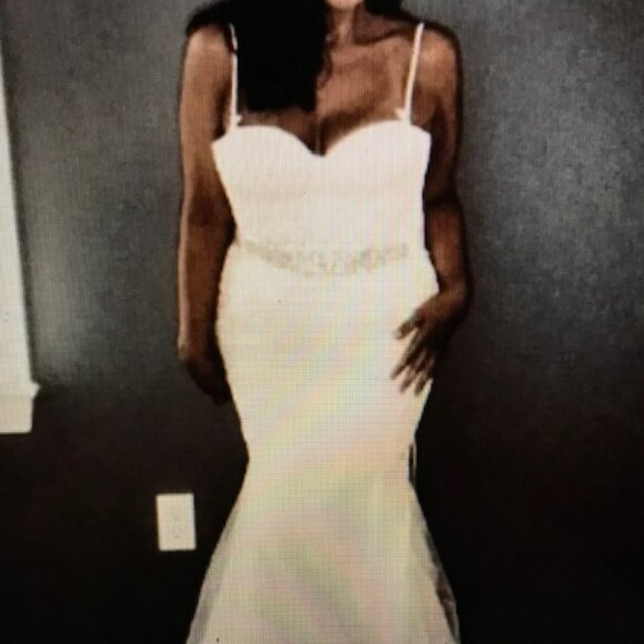 David’s Bridal Galina Signature Wedding Gown - Picture 6 of 6